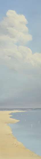 Jan Groenhart - Wolken en vogels 