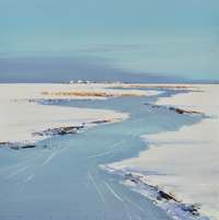 Jan Groenhart - Krassen in het ijs 