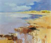 Jan Groenhart - De kust