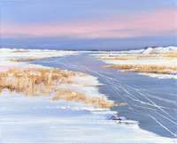 Jan Groenhart - Waterpracht in de winter 