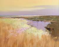 Jan Groenhart - Rondom een plasje water