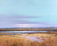 Jan Groenhart - Zonlicht over het riet