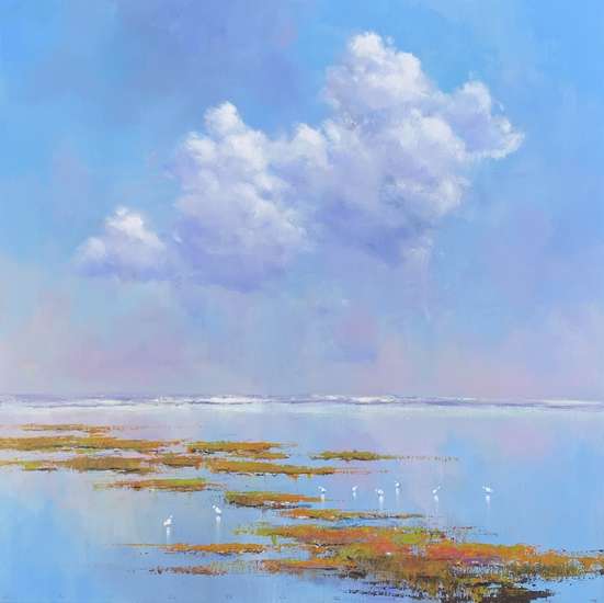 Jan Groenhart - Prachtig licht op het wad 