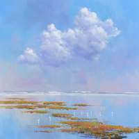 Jan Groenhart - Prachtig licht op het wad 