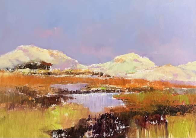 Jan Groenhart - De duinen