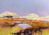 Jan Groenhart - De duinen